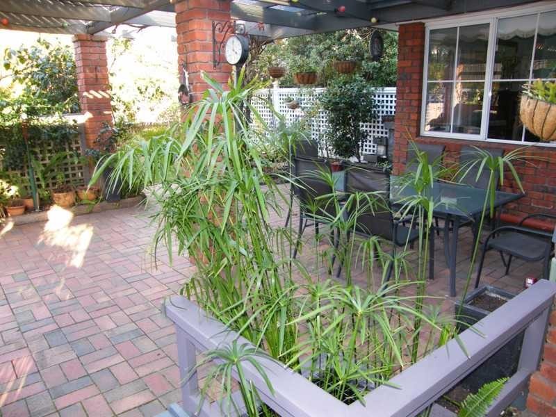 20 Boyd Court, Eagle Point VIC 3878
