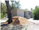 200 Wattle Point Road, Bairnsdale VIC 3875