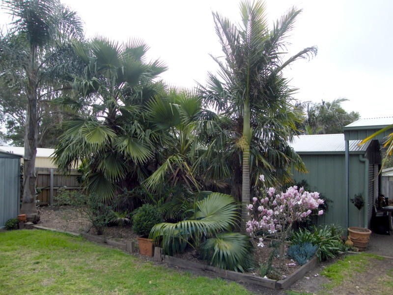 34 Gilsenan Street, Paynesville VIC 3880