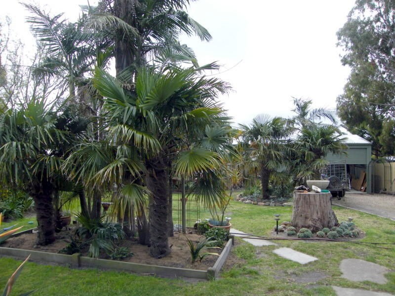 34 Gilsenan Street, Paynesville VIC 3880