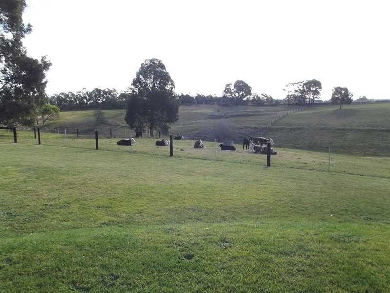 34 Patersons Court, Nicholson VIC 3882