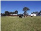 34 Patersons Court, Nicholson VIC 3882