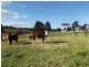 34 Patersons Court, Nicholson VIC 3882