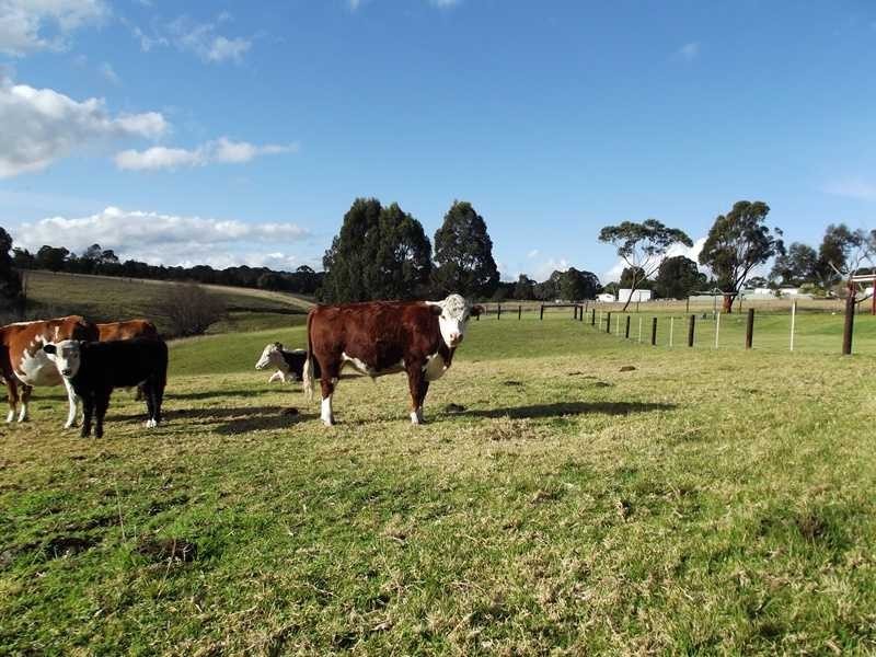 34 Patersons Court, Nicholson VIC 3882