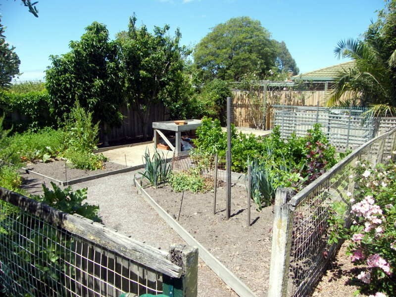 49 Murphy Street, Bairnsdale VIC 3875