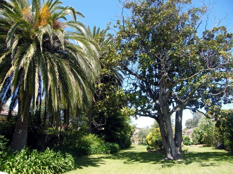 49 Murphy Street, Bairnsdale VIC 3875