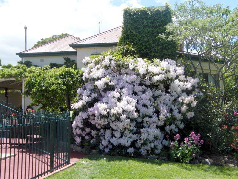 49 Murphy Street, Bairnsdale VIC 3875