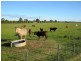 50 Cobblers Creek Road, Bairnsdale VIC 3875