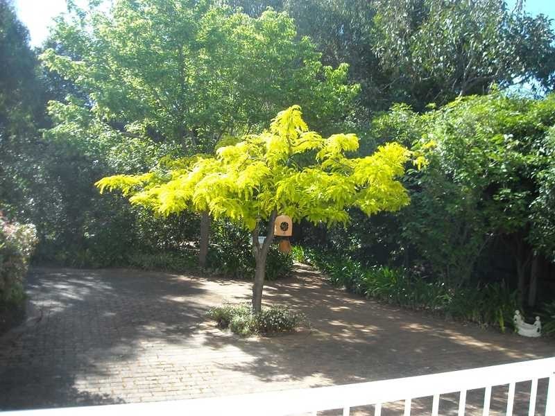 35 Western Boulevard, Raymond Island VIC 3880