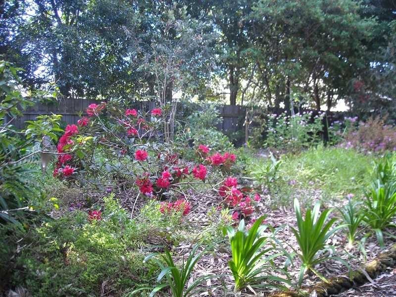 35 Western Boulevard, Raymond Island VIC 3880