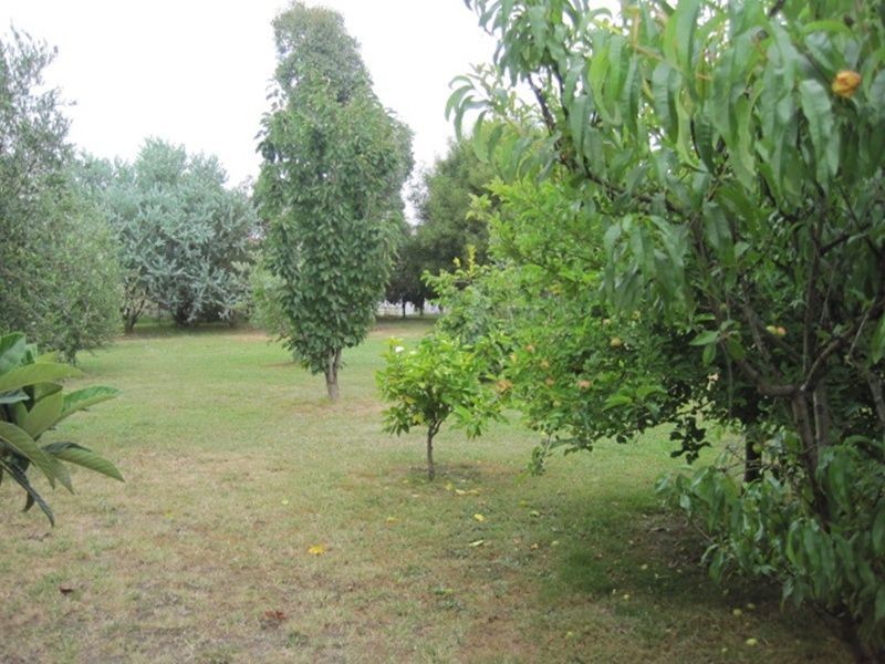 281 Nicholson Sarsfield Road, Nicholson VIC 3882