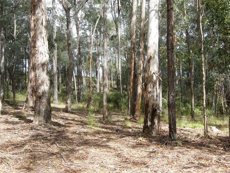 375 Bellbird Road, Clifton Creek VIC 3875
