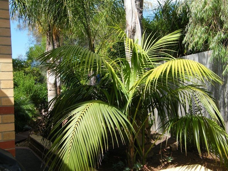 22 Schooner Terrace, Paynesville VIC 3880