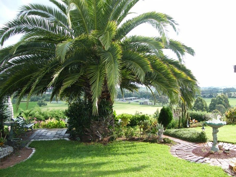 23 Morekana Court, Eastwood, Bairnsdale VIC 3875