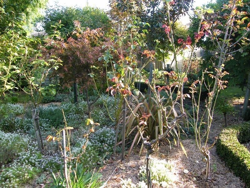 10 Rex Street, Paynesville VIC 3880