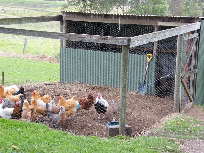 485 Wy Yung-Calulu Road, Wy Yung VIC 3875