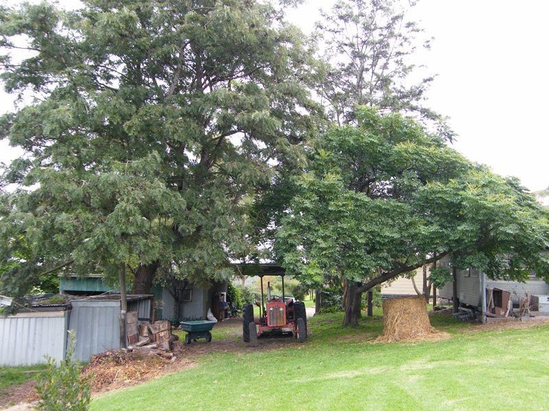 485 Wy Yung-Calulu Road, Wy Yung VIC 3875