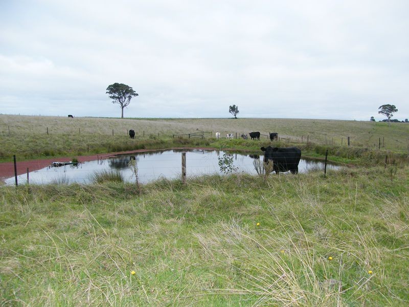 485 Wy Yung-Calulu Road, Wy Yung VIC 3875