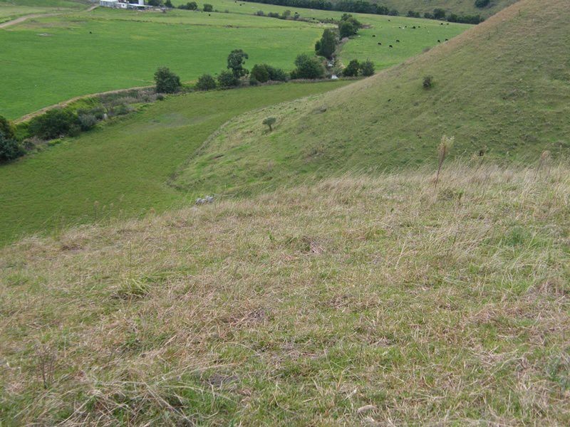 485 Wy Yung-Calulu Road, Wy Yung VIC 3875