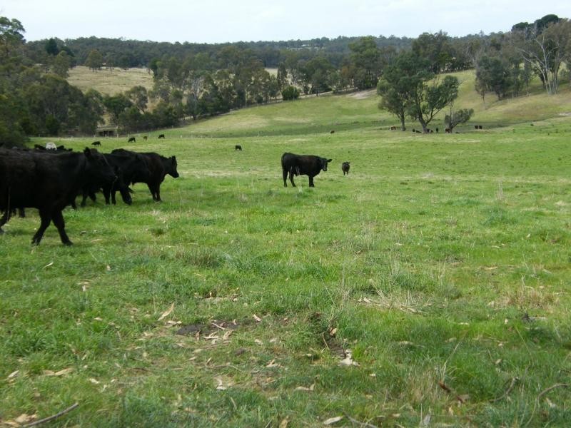 31 Woods Road, Wy Yung VIC 3875