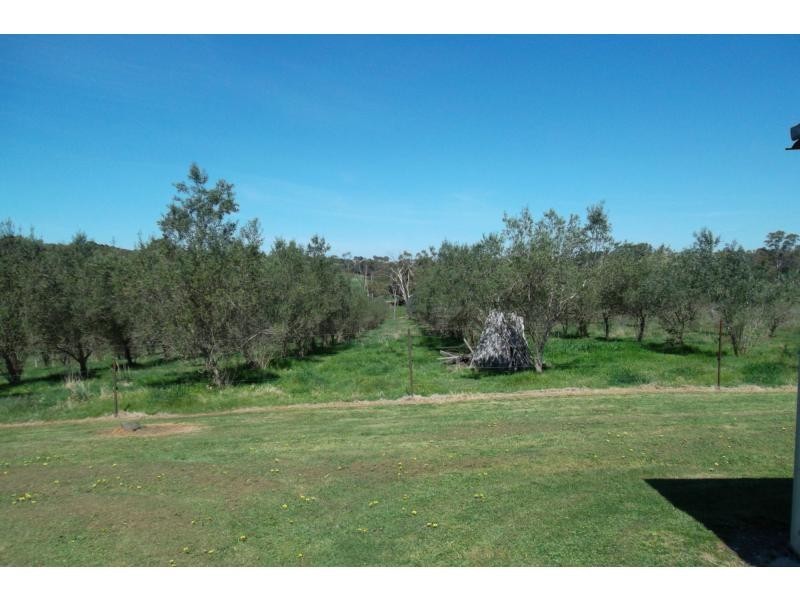 31 Woods Road, Wy Yung VIC 3875