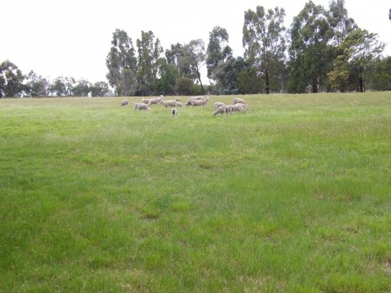 315 Lindenow South-Fernbank Road, Lindenow South VIC 3875