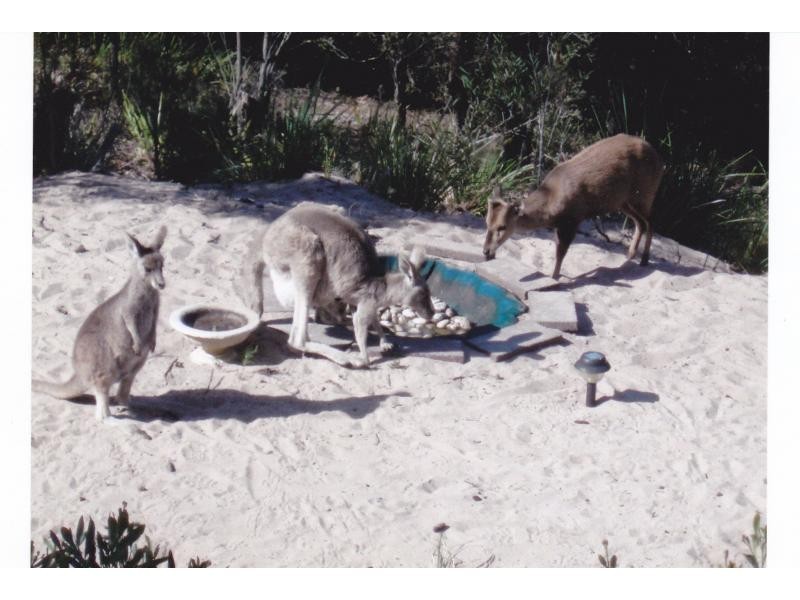 L4 Jubilee Head, Paynesville VIC 3880