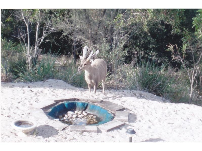 L4 Jubilee Head, Paynesville VIC 3880