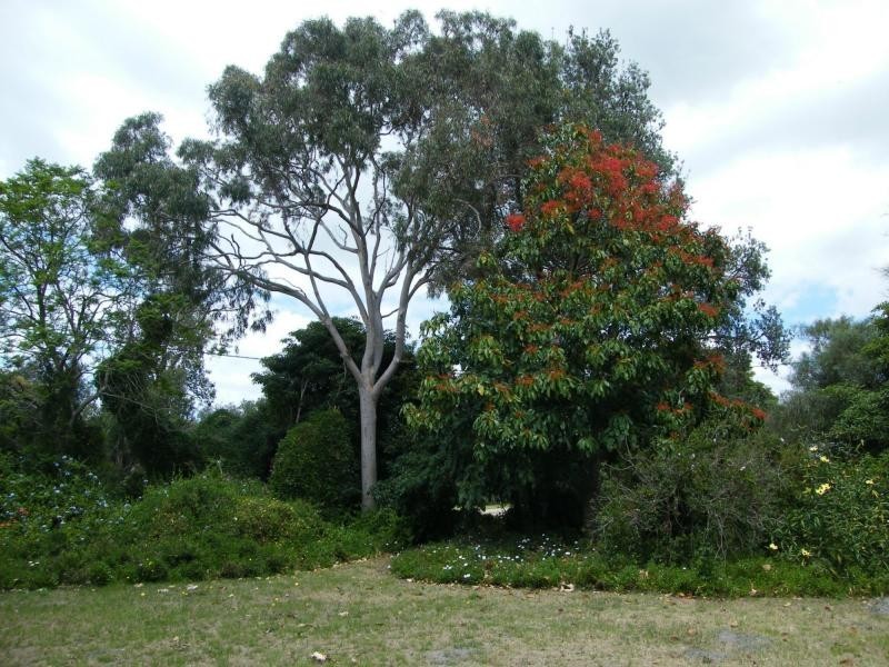 18 First Parade, Raymond Island VIC 3880
