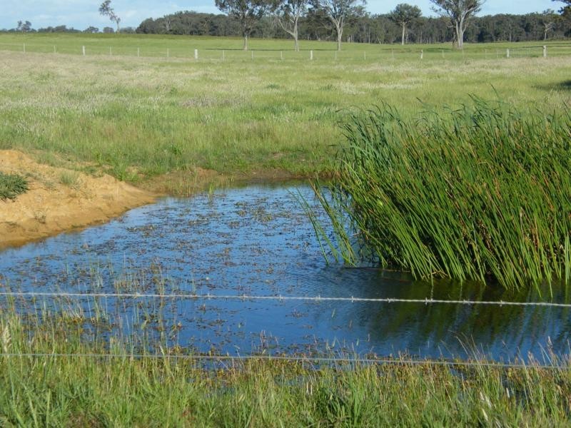 620 Fernbank-Glenaladale Road, Fernbank VIC 3864