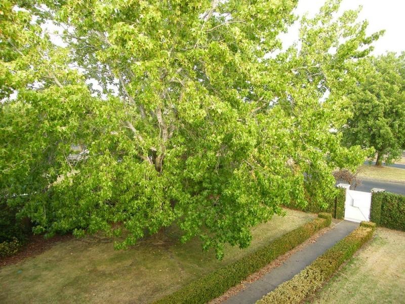 67 Pearson, Bairnsdale VIC 3875