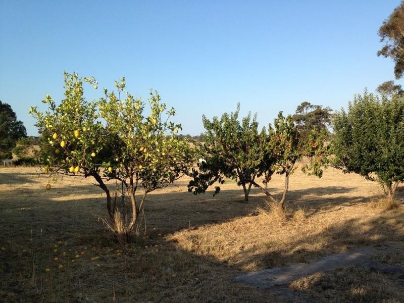 9 Brighton Place, Bairnsdale VIC 3875