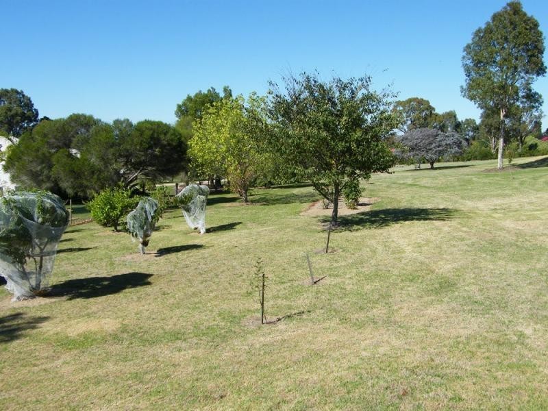 100 Doyles Road, Bairnsdale VIC 3875