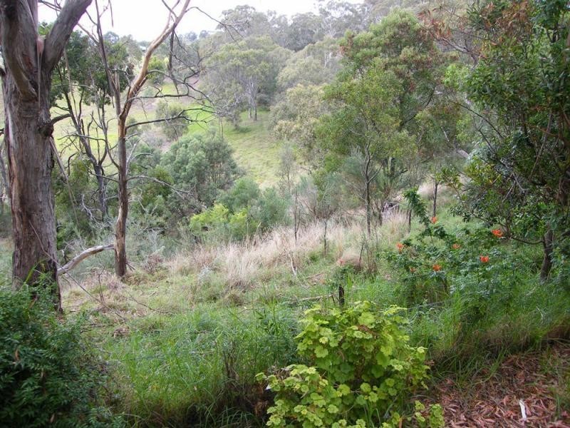 100 Mathiesons Road, Eagle Point VIC 3878