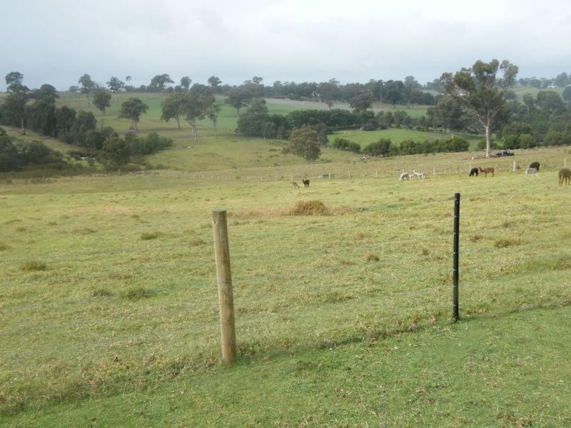 380 Balfours, Bairnsdale VIC 3875
