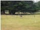 30 Centre, Raymond Island VIC 3880