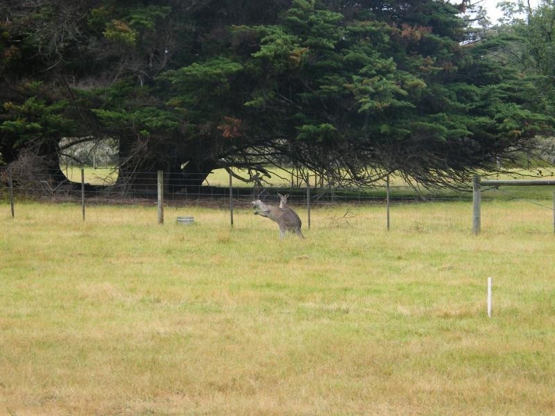 30 Centre, Raymond Island VIC 3880