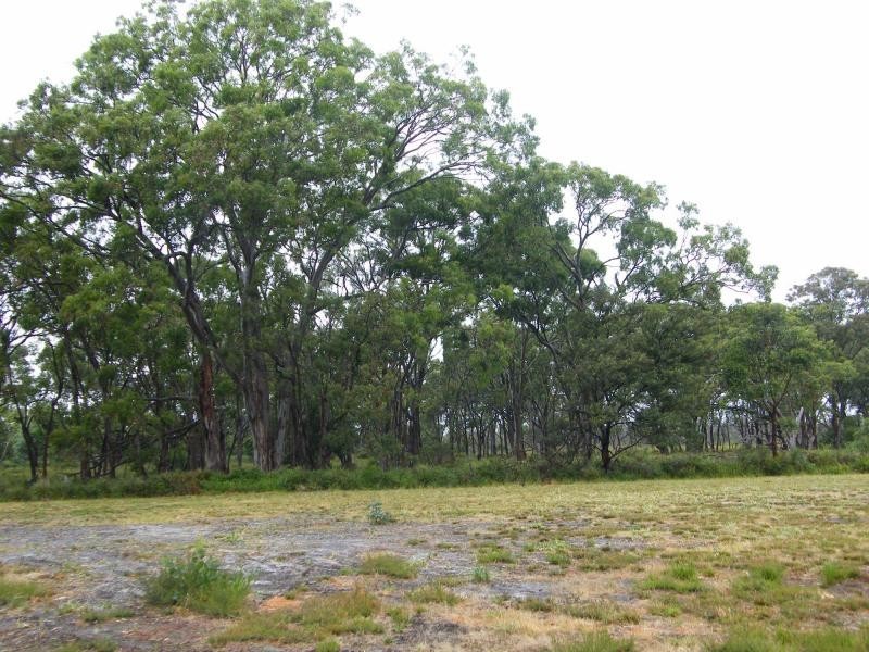 30 Centre, Raymond Island VIC 3880