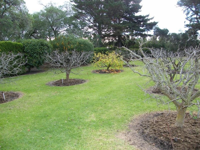 Raymond Island VIC 3880