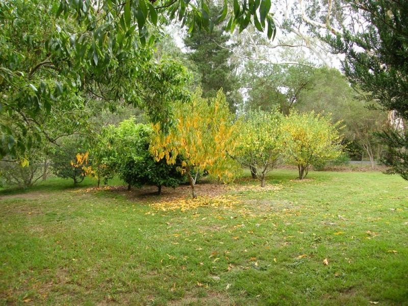 100 Mathiesons Road, Eagle Point VIC 3878