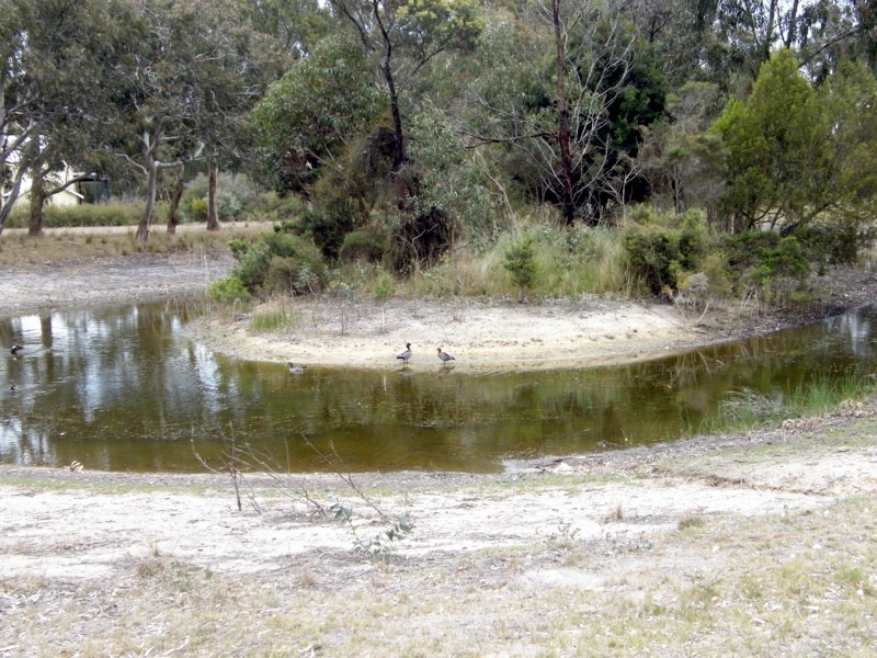 50 Gravelly Point Road, Raymond Island VIC 3880