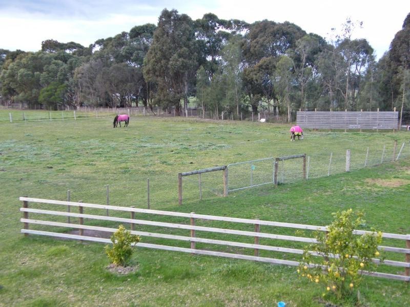 95 Lake Victoria, Eagle Point VIC 3878