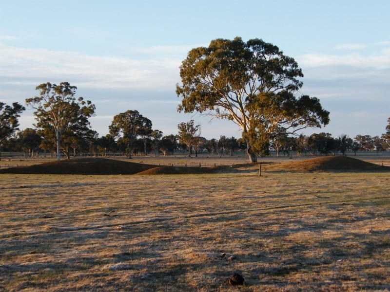 1150 Dargo Fernbank Road, Fernbank VIC 3864