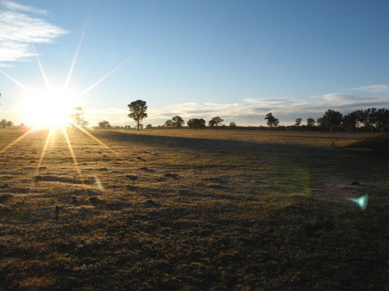 1150 Dargo Fernbank Road, Fernbank VIC 3864