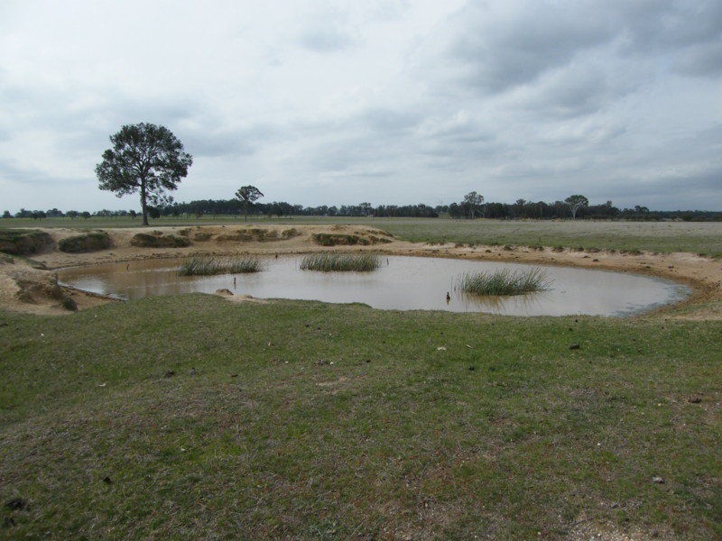 895 Glenaladale Fernbank Road, Fernbank VIC 3864