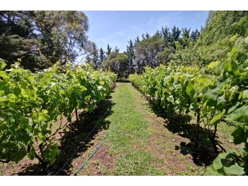 340 Dockerty’s Lane, Bairnsdale, Bairnsdale VIC 3875