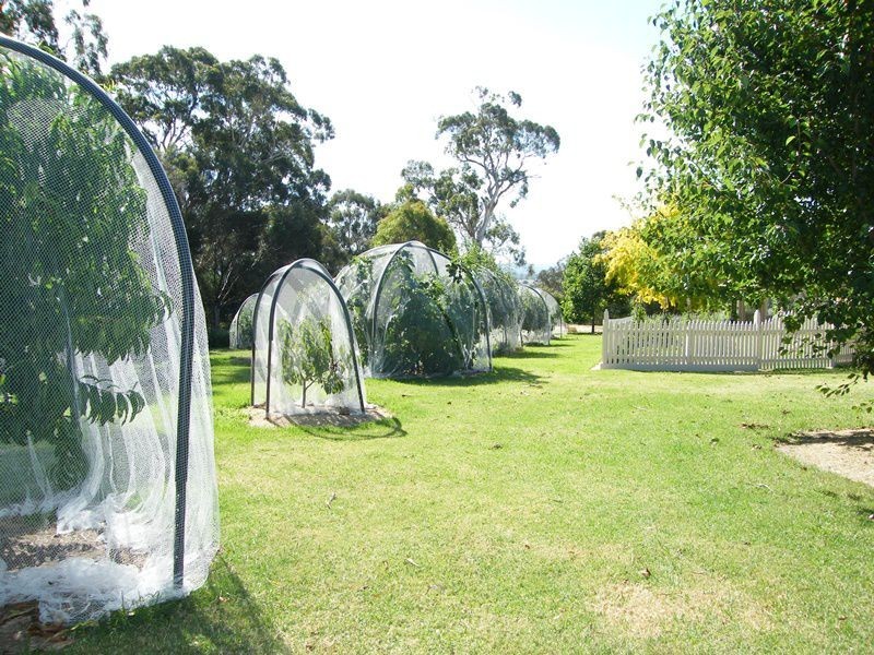 Paynesville VIC 3880