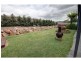 8 Millicent Court, Eagle Point VIC 3878