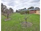 12 Boyd Court, Eagle Point VIC 3878