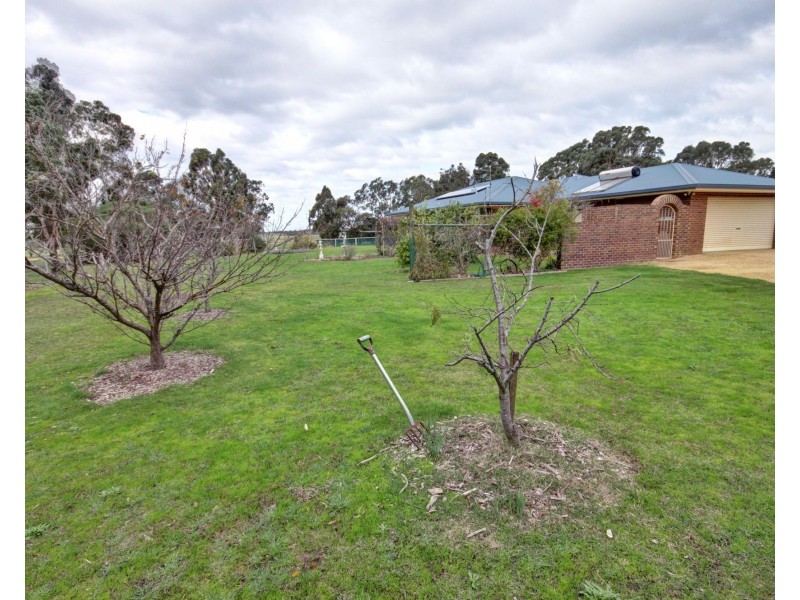 12 Boyd Court, Eagle Point VIC 3878